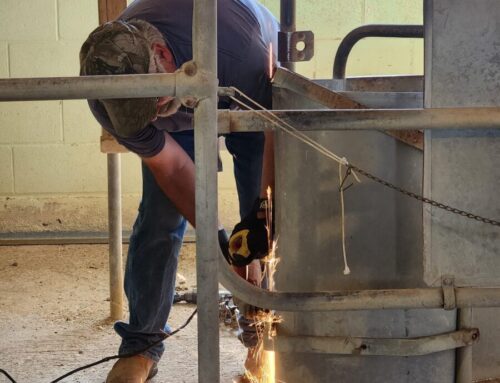 She Says, He Says (Barn Remodel Part II)