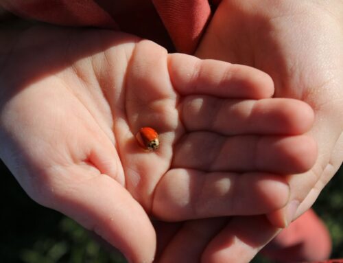 I don’t want an empire. I want a Village.